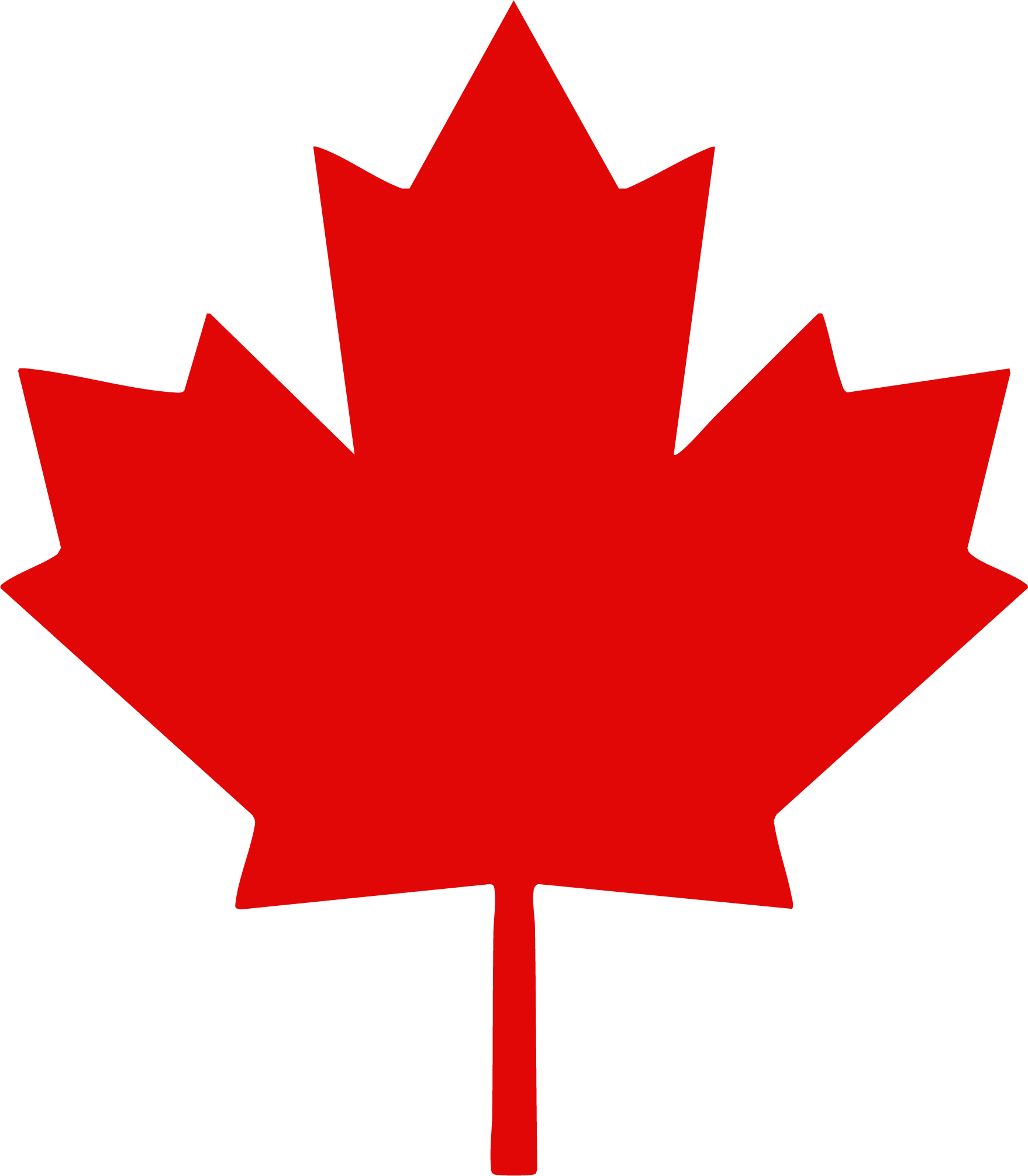 Canadian maple leaf icon representing local business